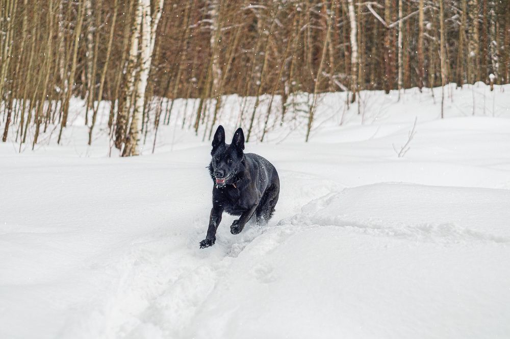 Photograph by Олег Вольский