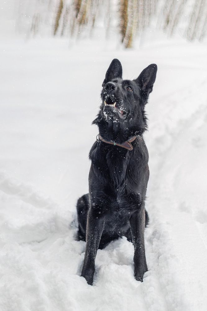 Photograph by Олег Вольский