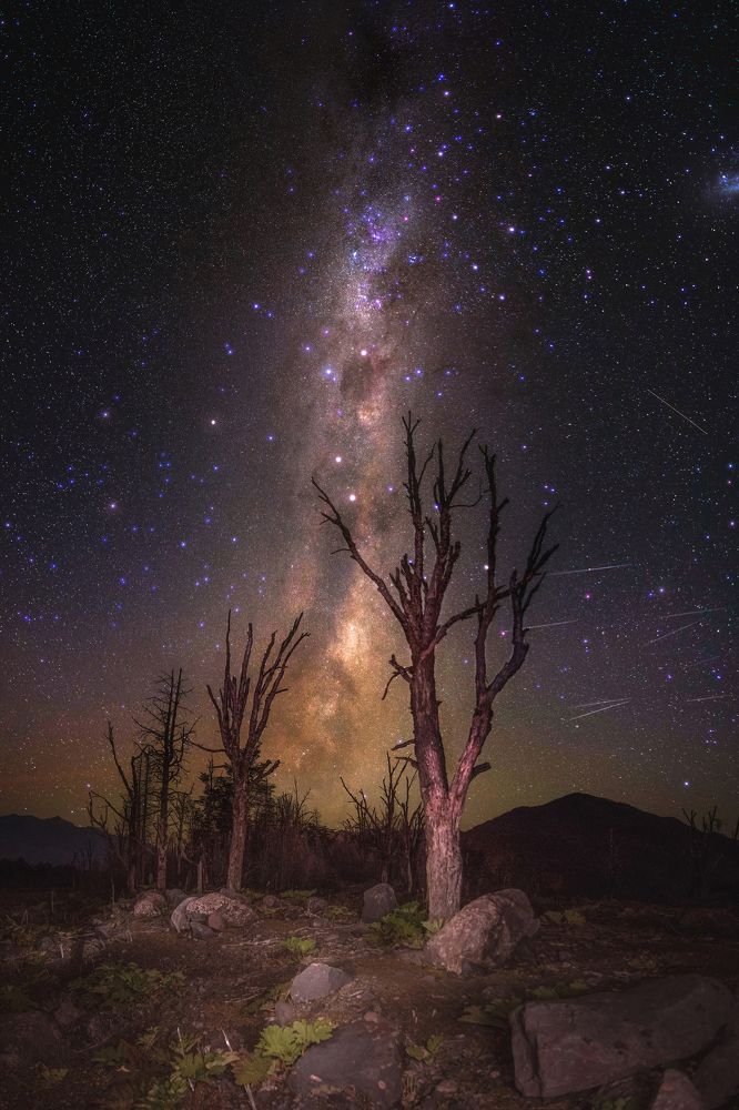 Photograph by Marcelo Maturana