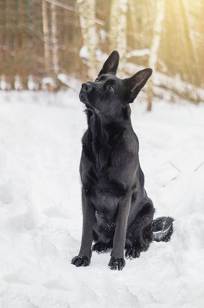 Photograph by Олег Вольский