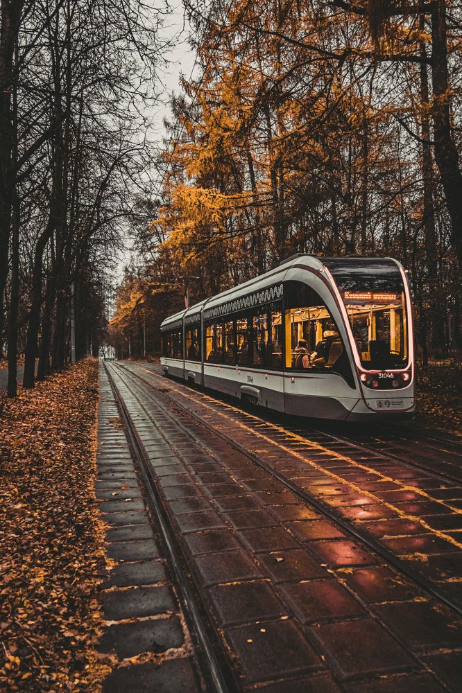 Фотография автора Freevgen
