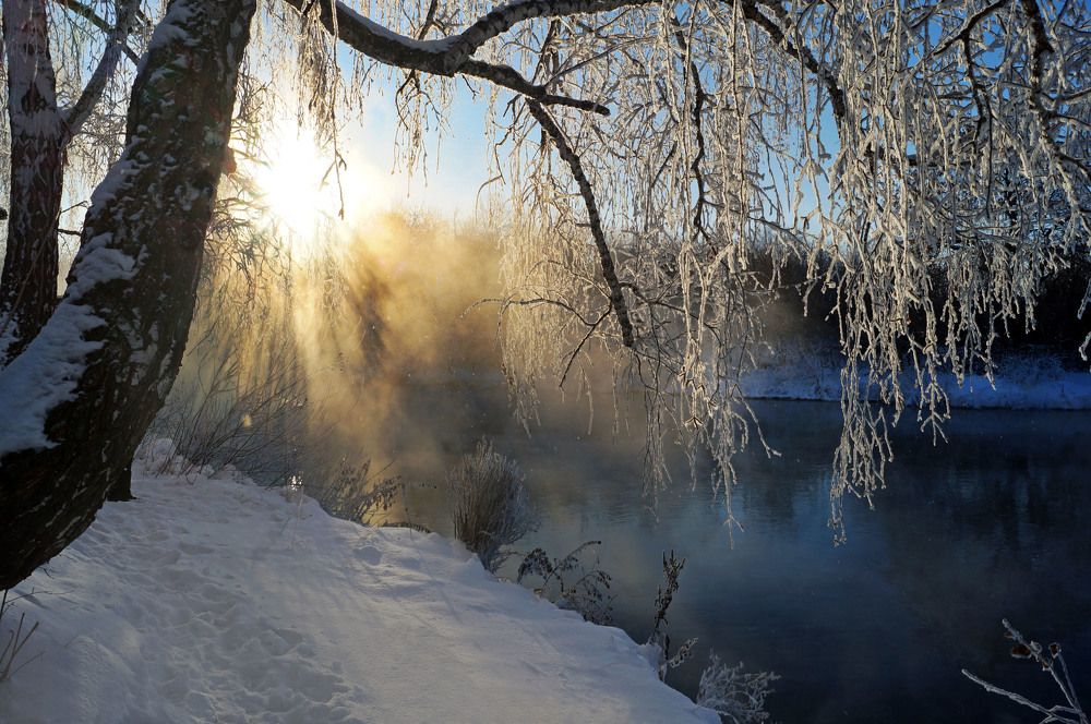 Photograph by Мишустина Татьяна