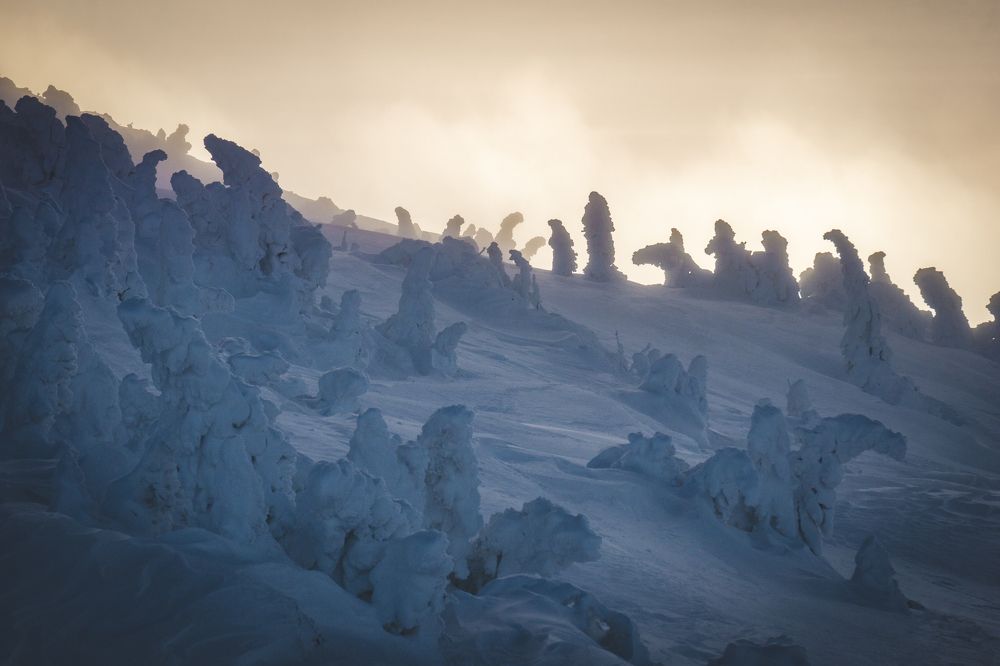 Photograph by Юлия