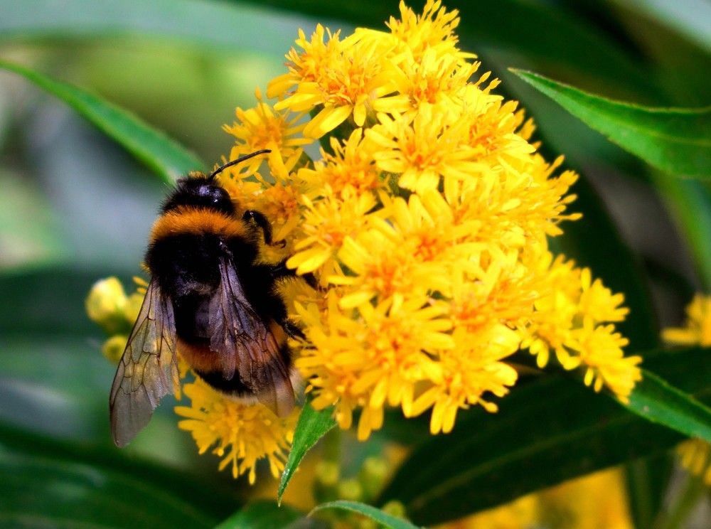 Фотография автора Tkachev Aleksey