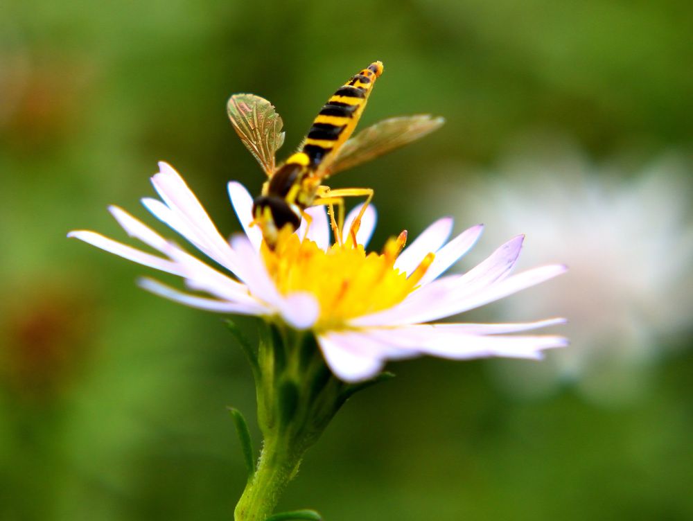 Фотография автора Tkachev Aleksey