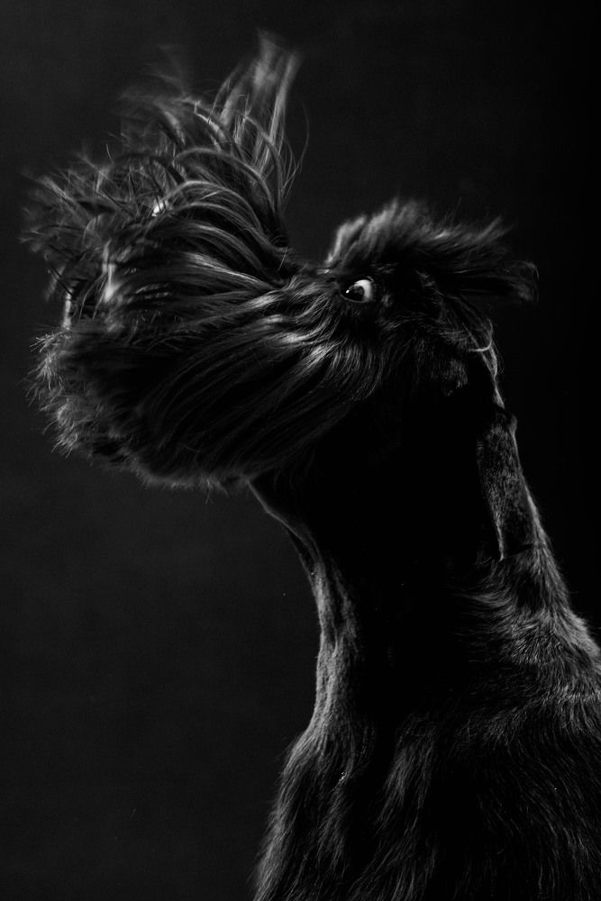 Photograph by Сульдин Павел