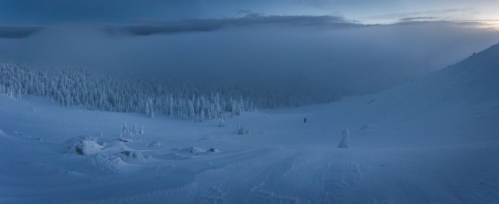 Photograph by Юлия