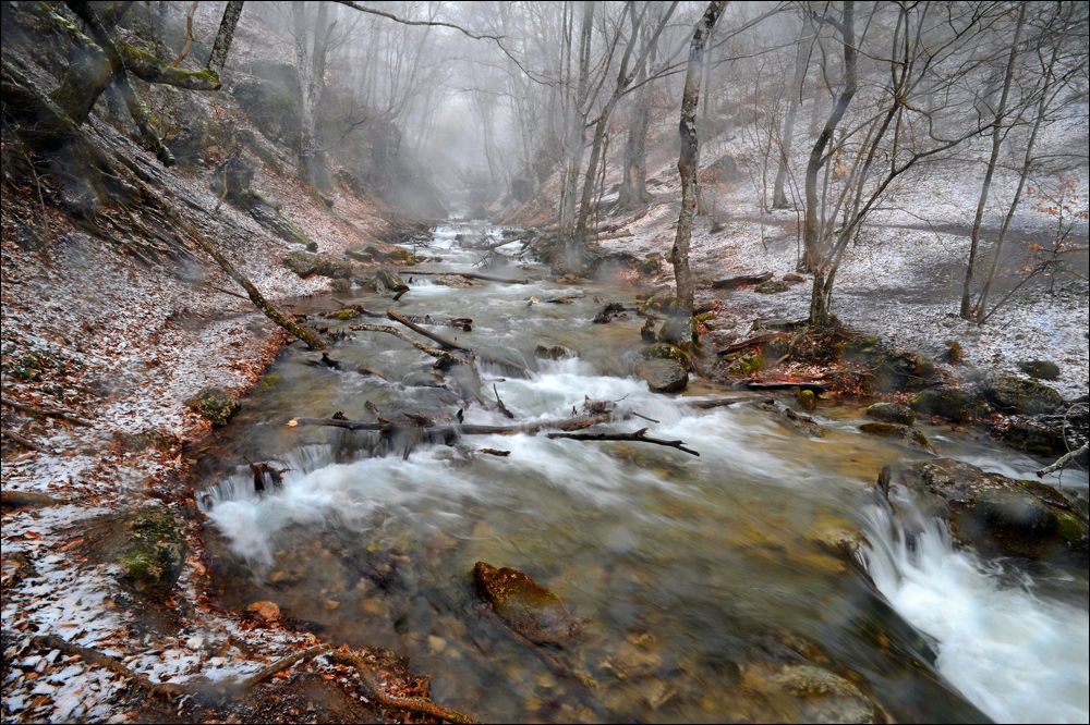 Фотография автора Васильева Дарья
