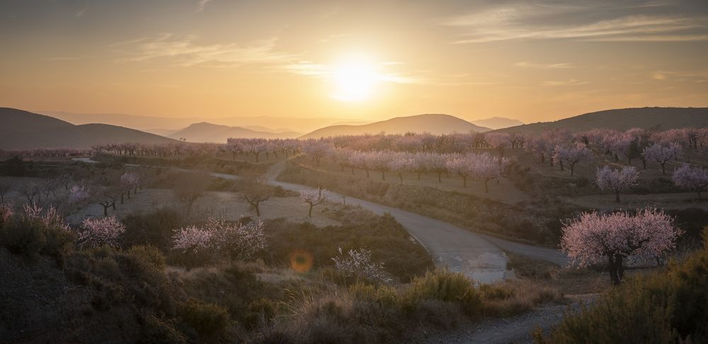 Photograph by Hector Hernandez