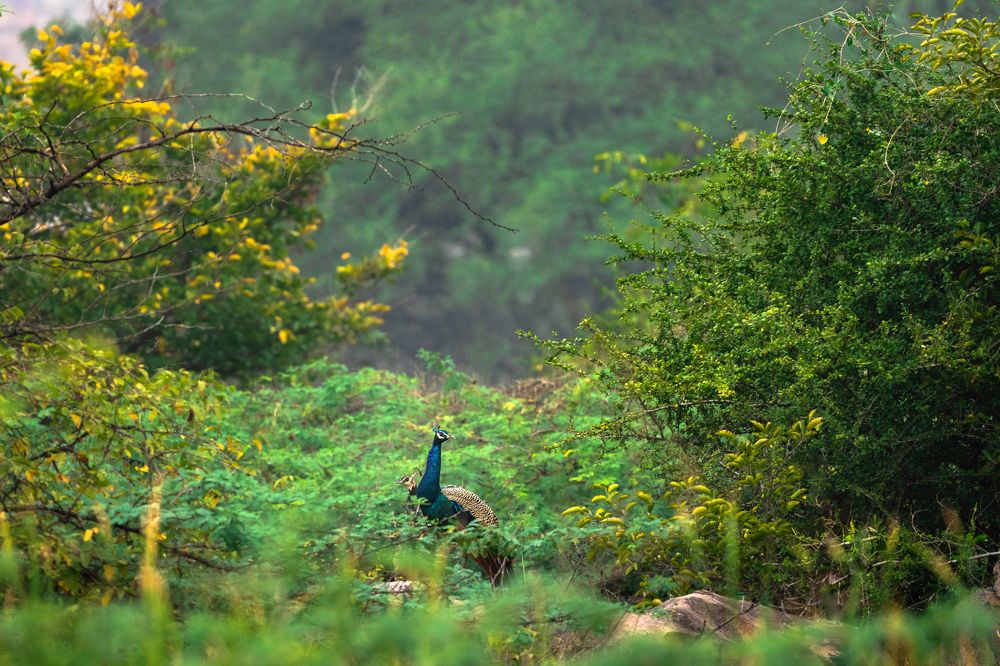 Heaven doors are opened