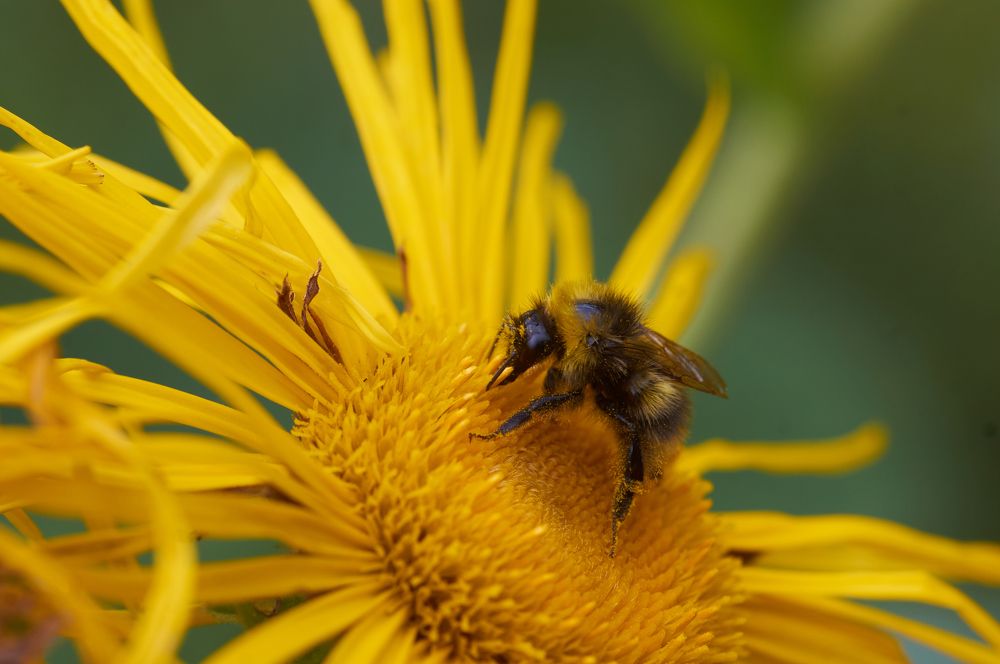 Photograph by Максим Захаров