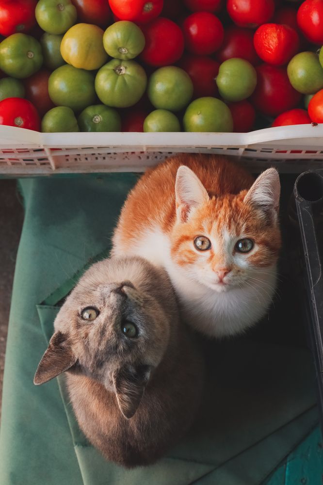 Photograph by Анастасия Галенко