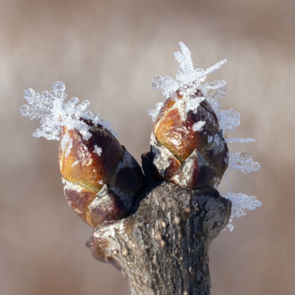 Photograph by Пономарев Илья