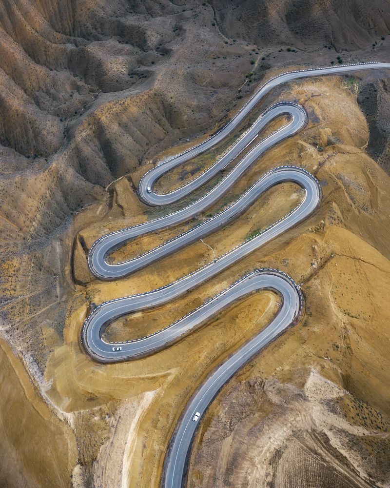 Армянская змея