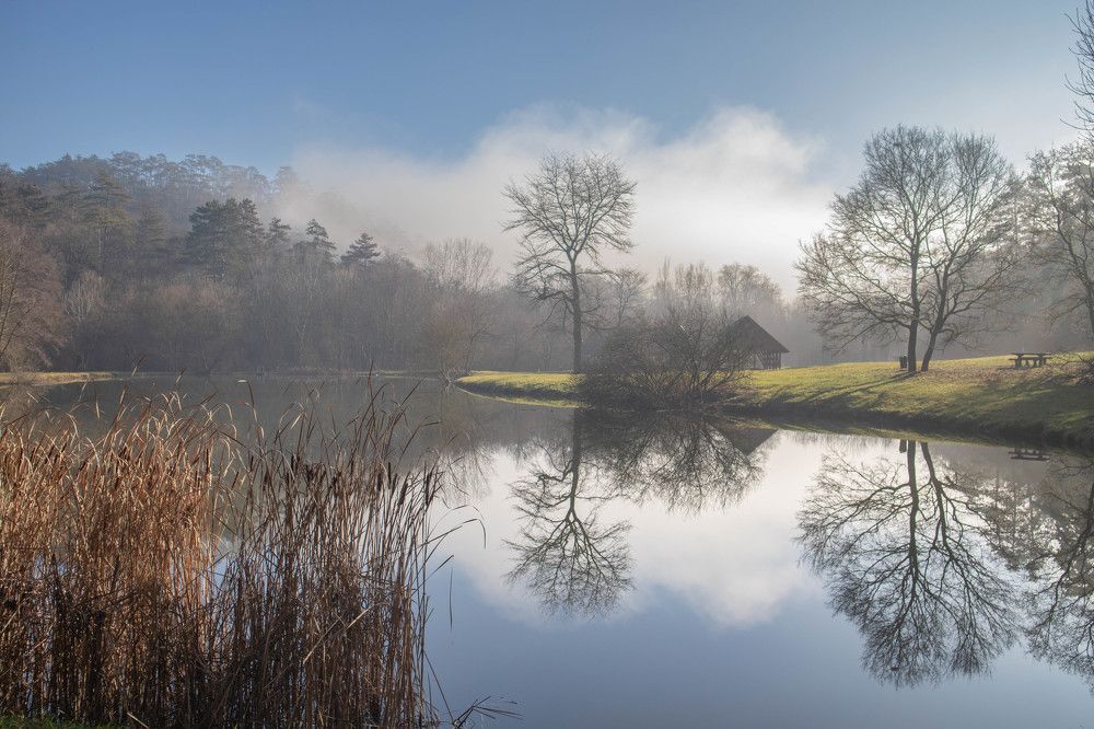 Фотография автора Zámbó Krisztián