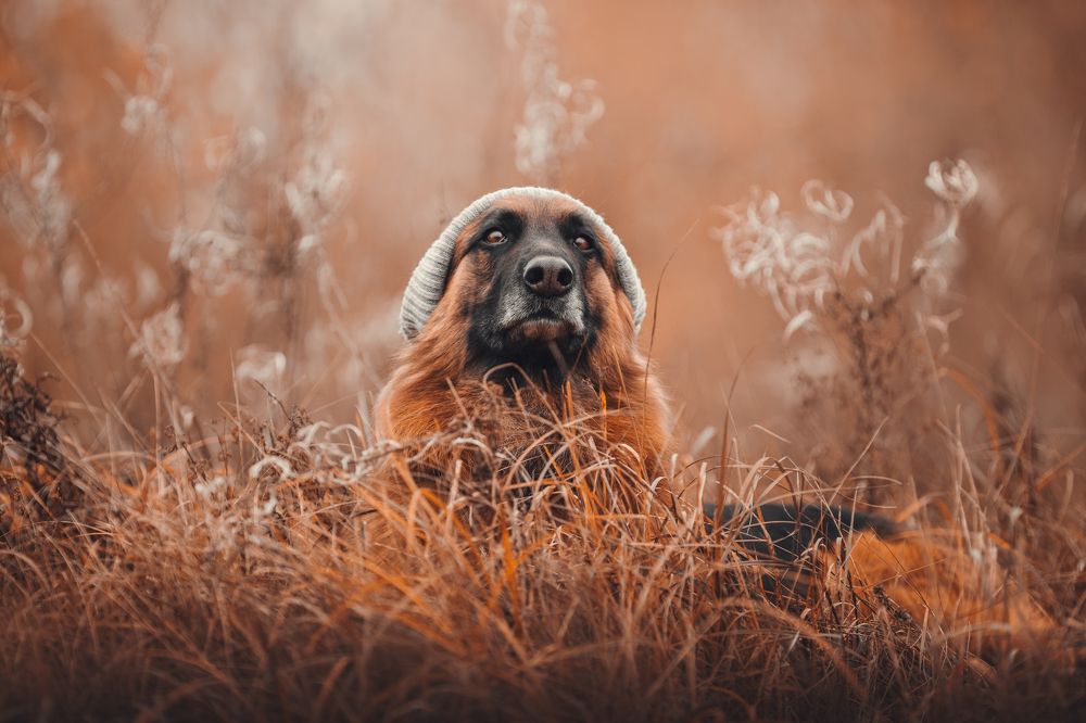 Photograph by Владислава Протащик