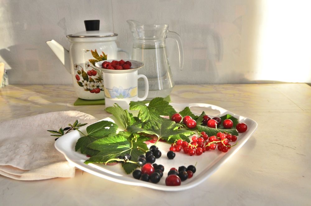 Фотография автора Клавдия Васильева