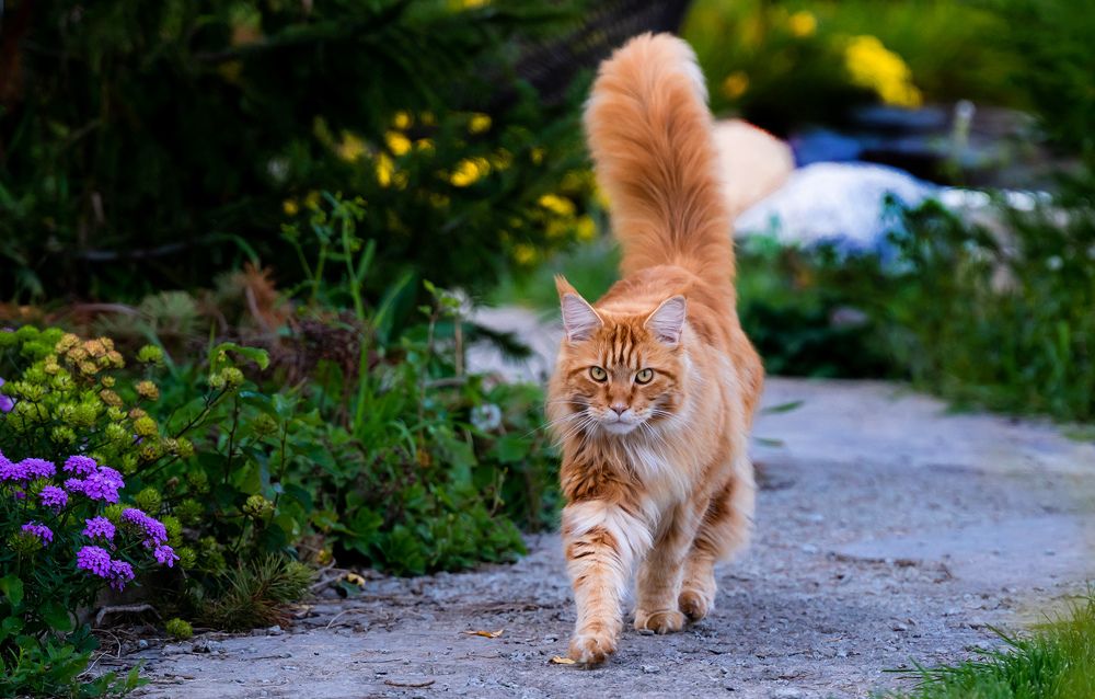 Photograph by Людмила Ковалева