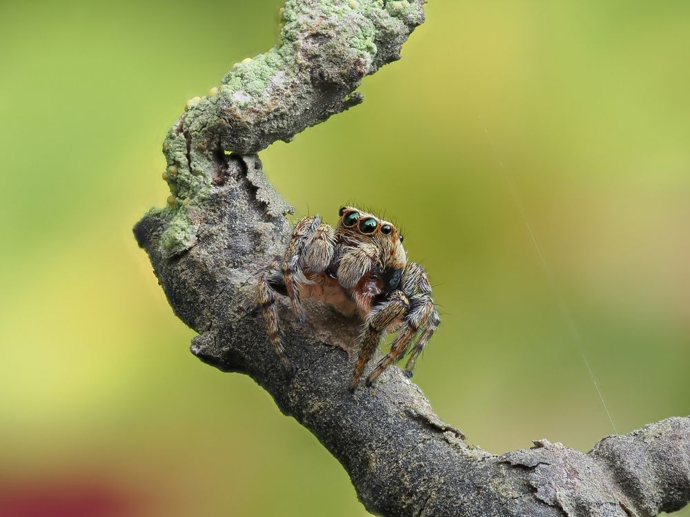 Photograph by Максим Кошелев