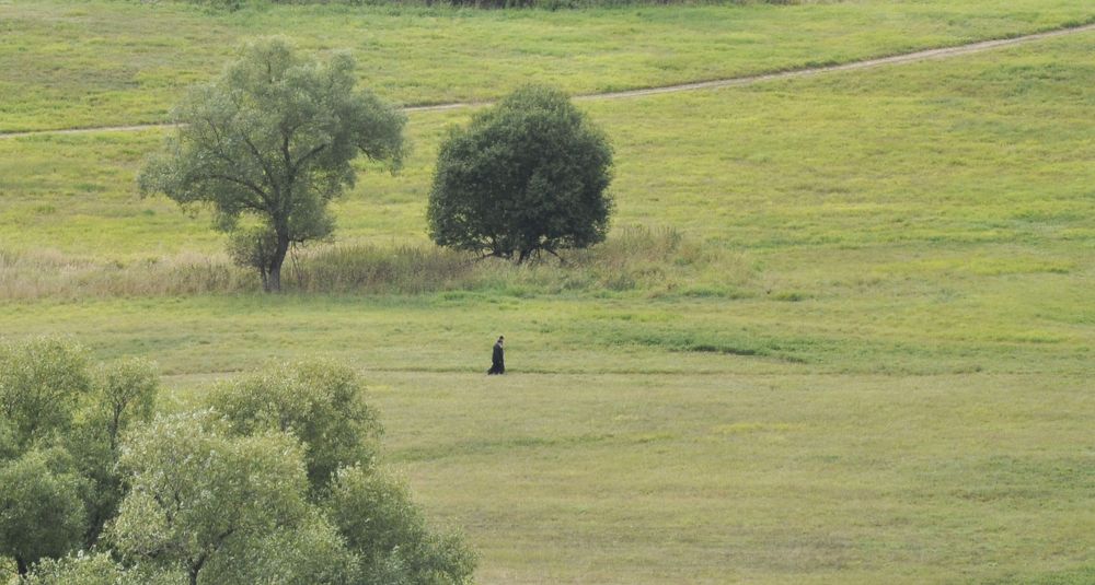 Photograph by Egor Kashirin