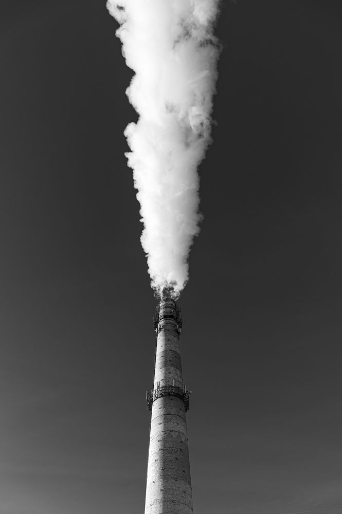 Photograph by Александра Глумина