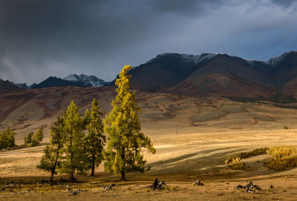 Фотография автора Мария Рохмистрова