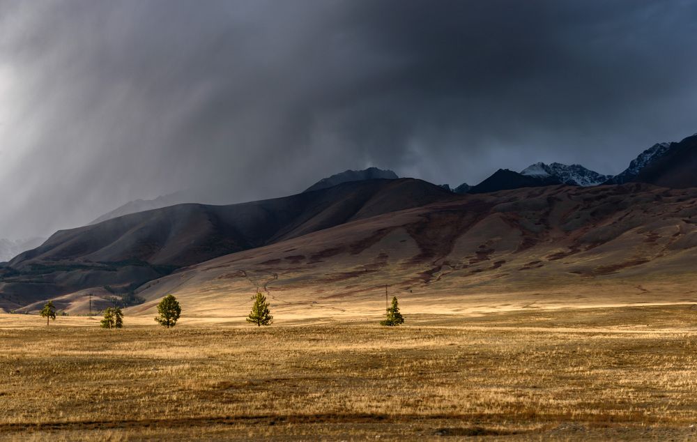 Фотография автора Мария Рохмистрова