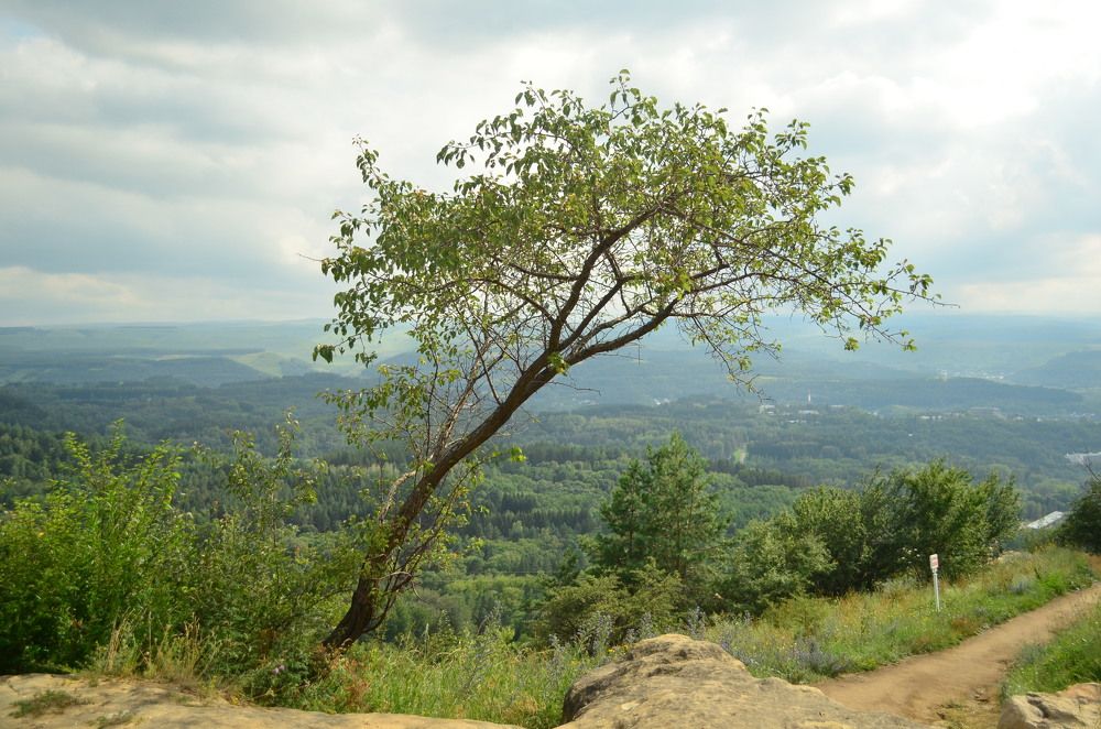 Photograph by Екатерина