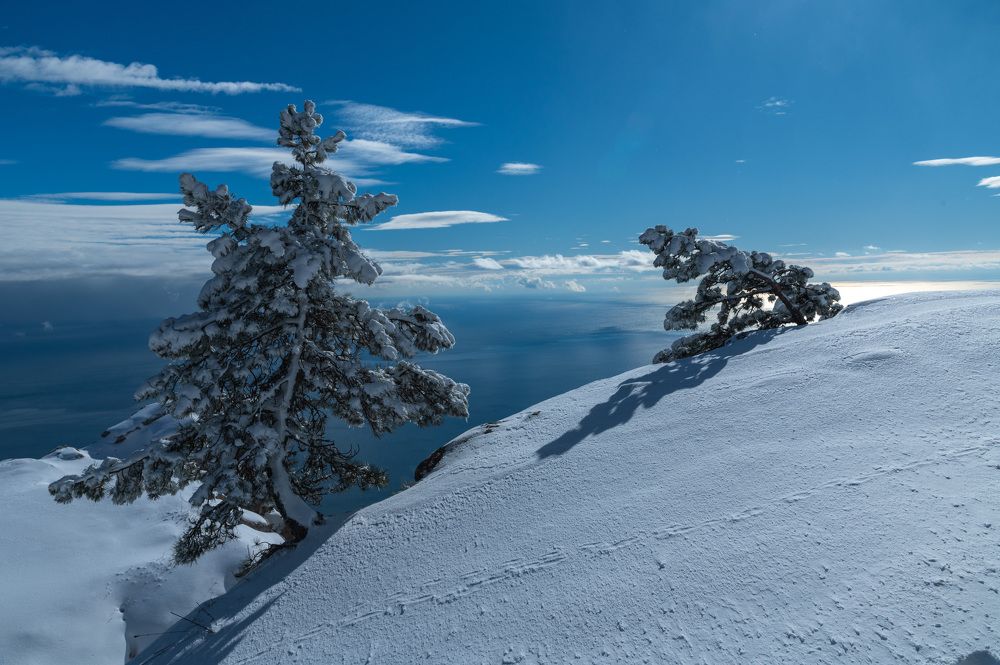 Photograph by Екатерина Крючкова