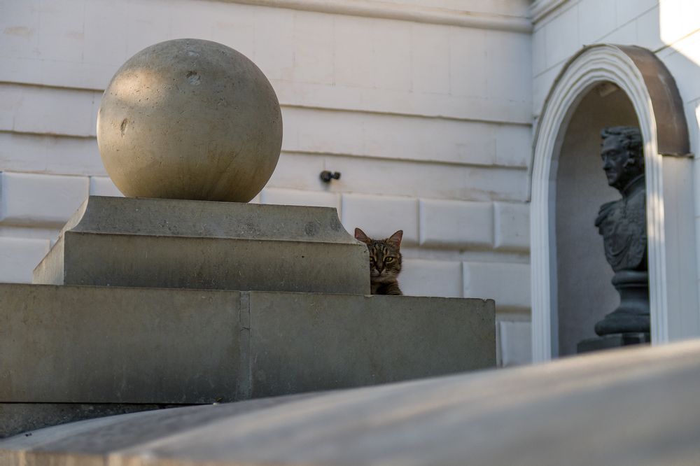 Геометрия / Geometry