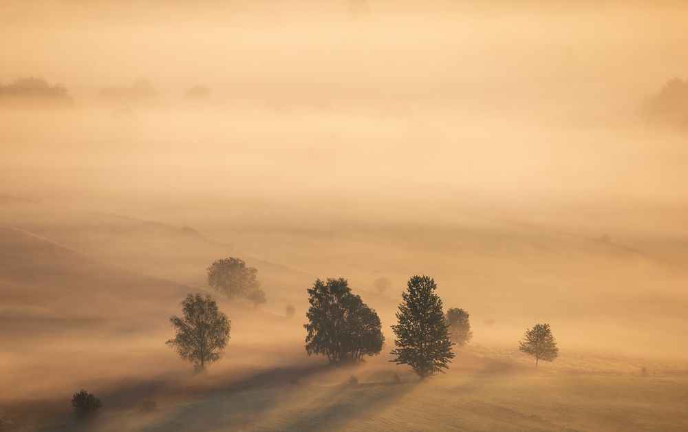 Photograph by Mirosław Pruchnicki