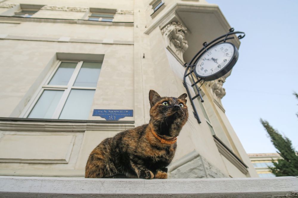 На страже времени / Time Guardian
