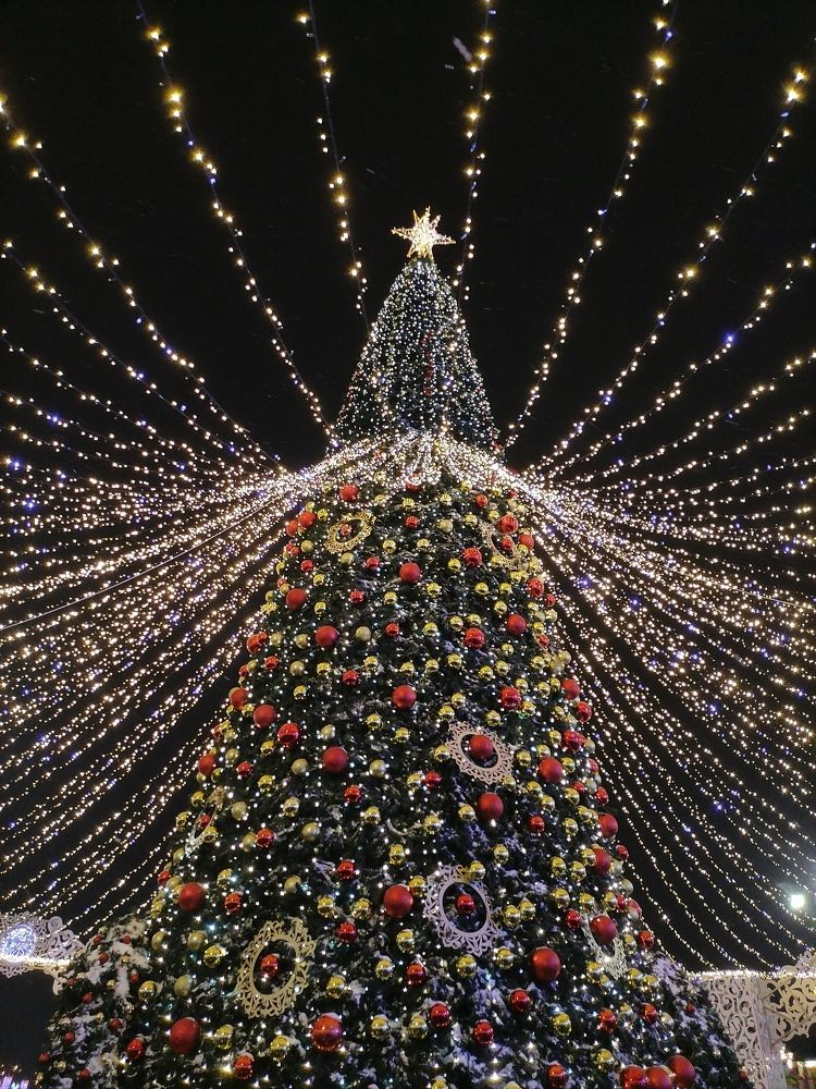 Photograph by Ксюша