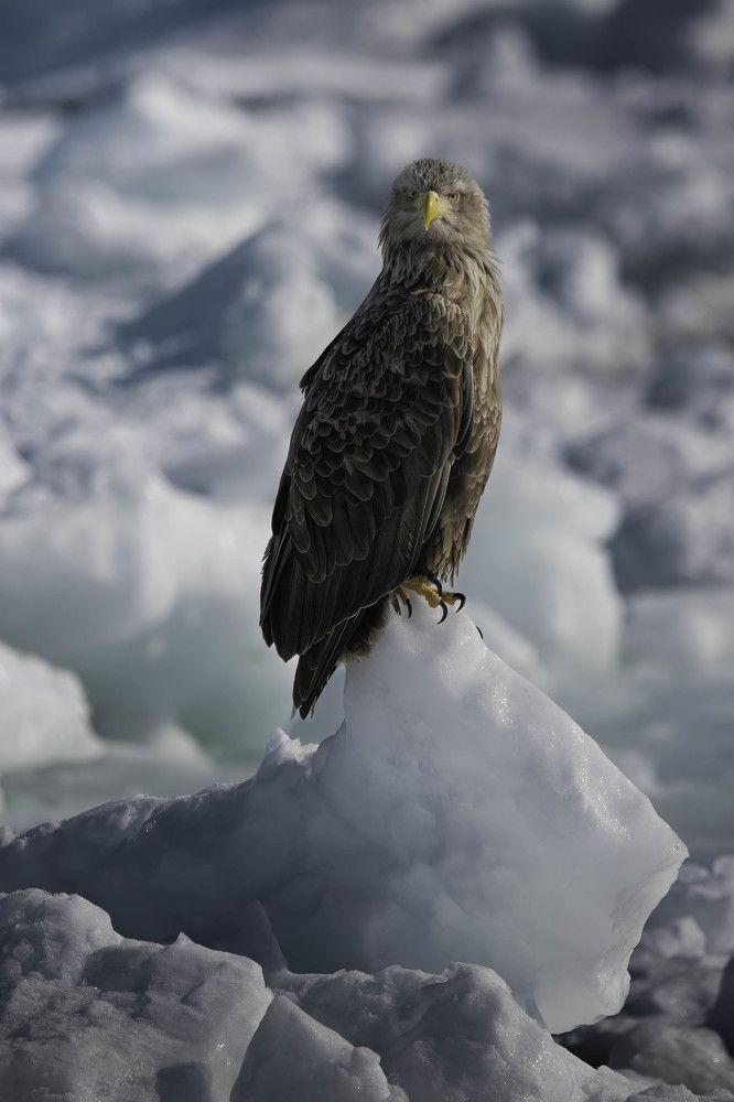 Photograph by Hiroki Matsubara