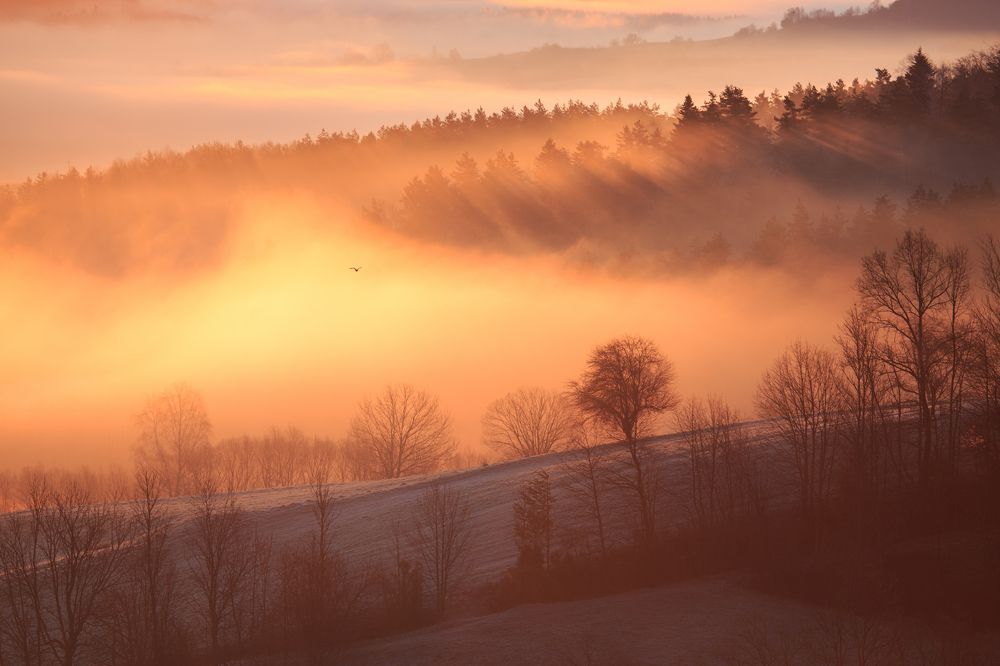 Photograph by Mirosław Pruchnicki