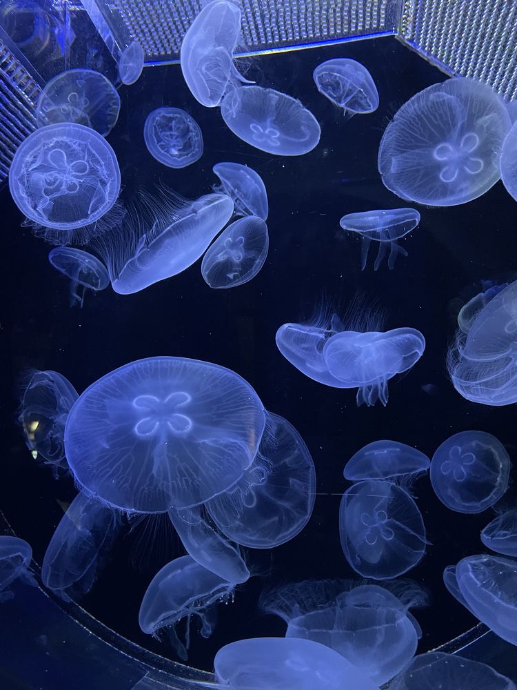 Photograph by Анна Бурлака