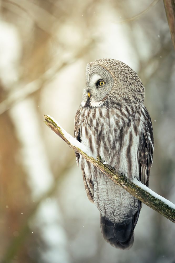 Photograph by Gevork Gukasyan