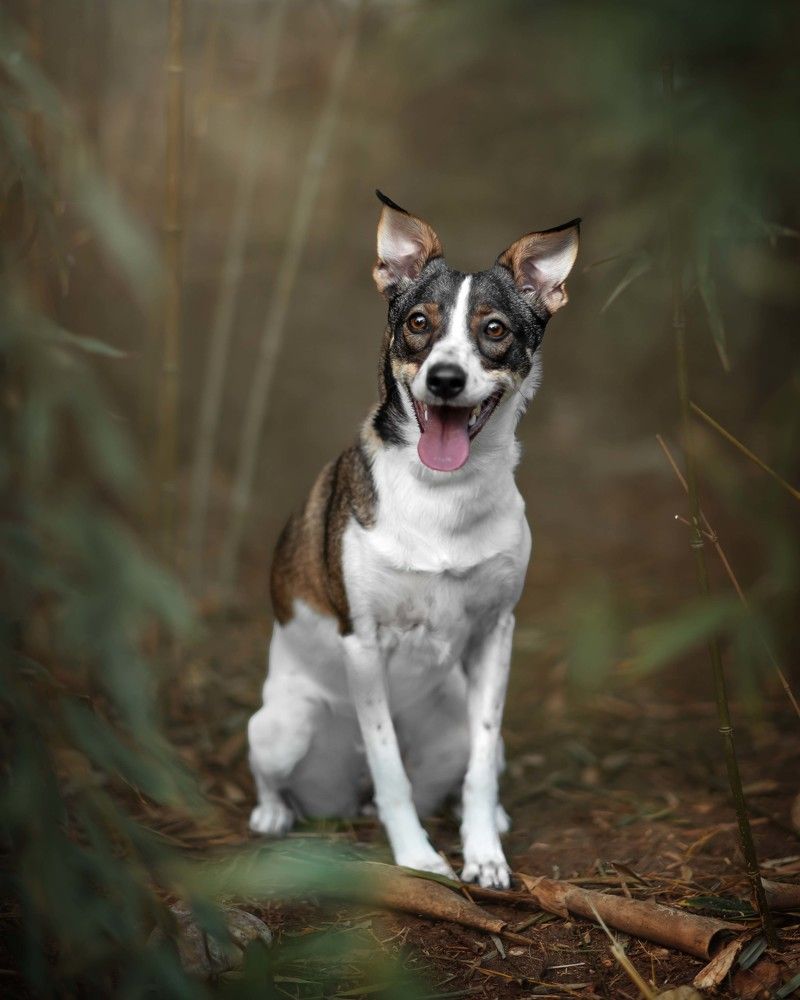 Photograph by Catarina Nunes