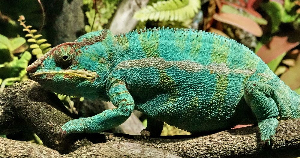 Фотография автора Алексей Голоушкин