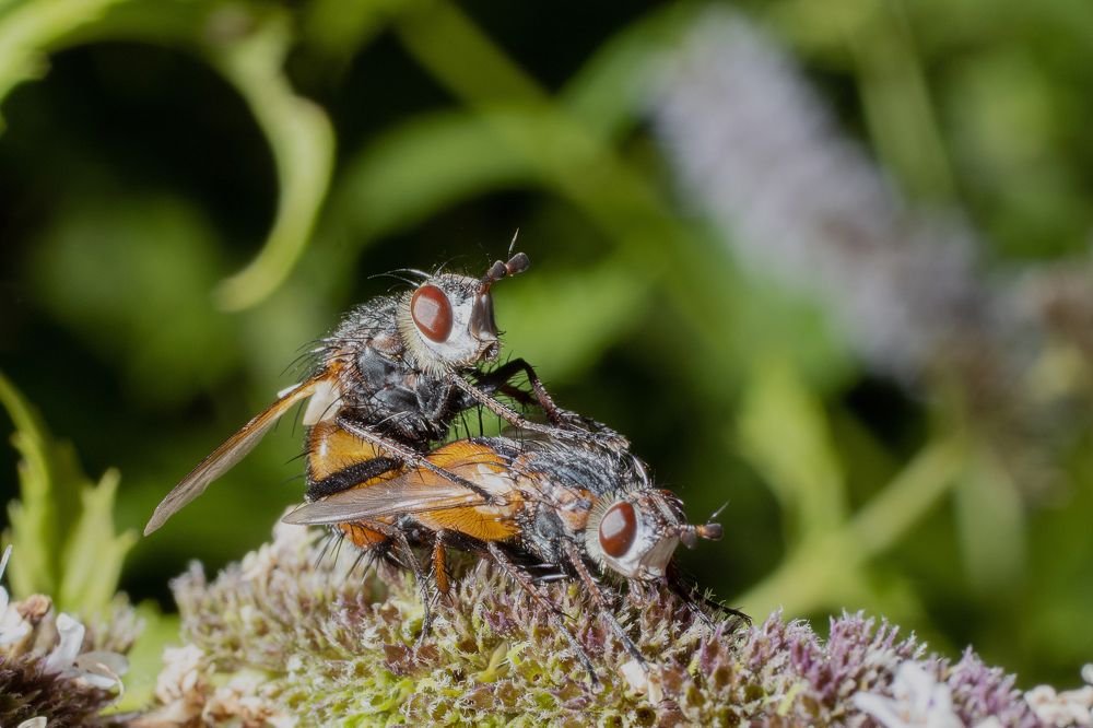 Photograph by Олег Крец