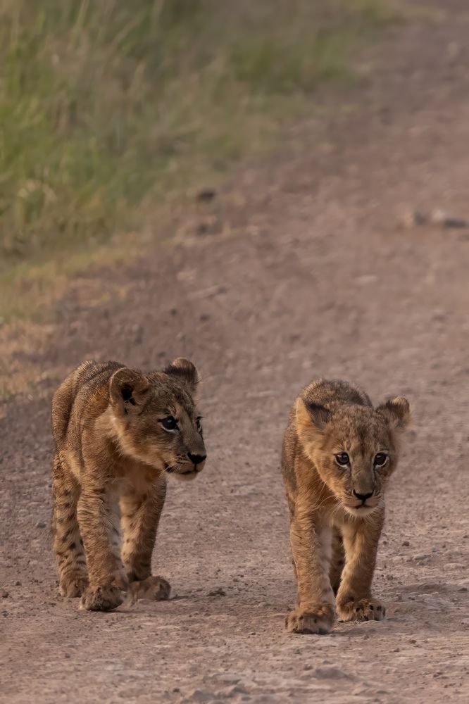Photograph by Popiyakova Natalia