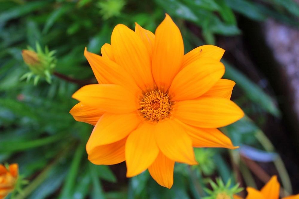 Photograph by Aryan Bhutani