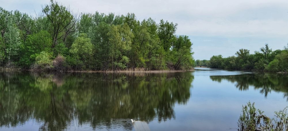 Широка страна моя родная
