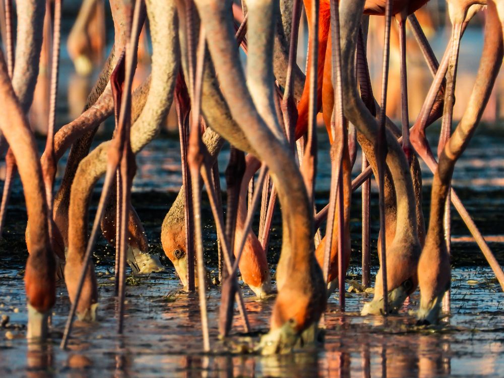 Фотография автора fabio chiari