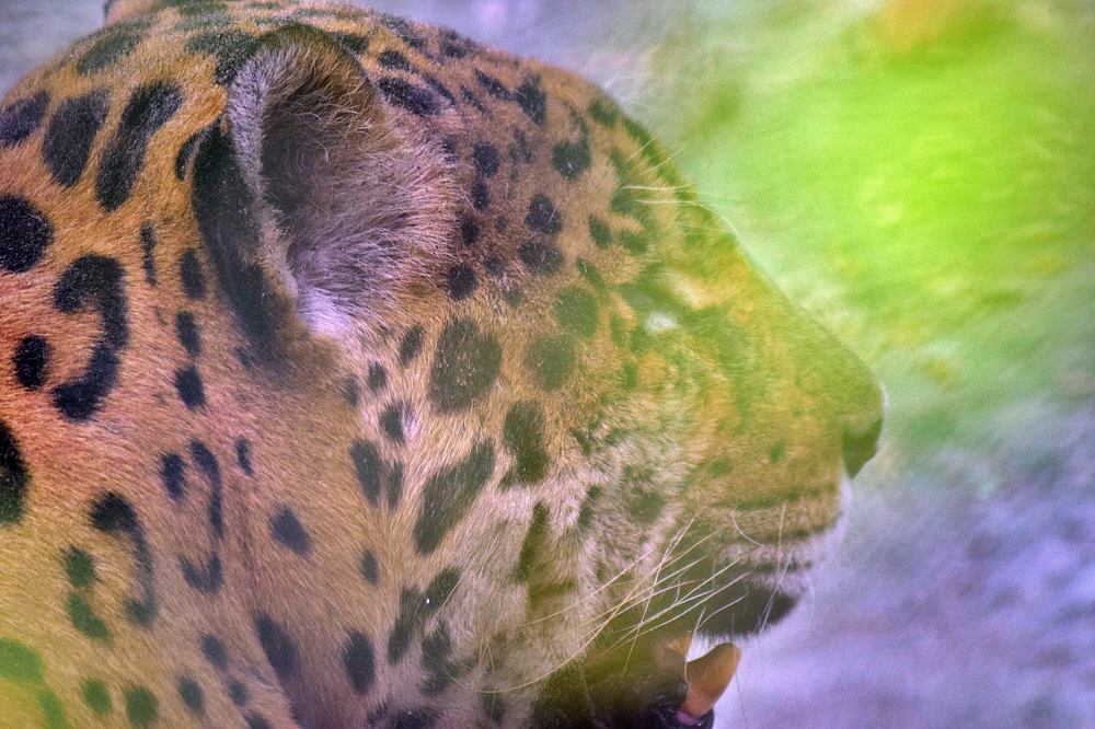 Photograph by Aryan Bhutani