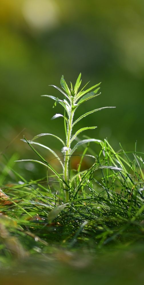 Фотография автора Дмитрий Кетов