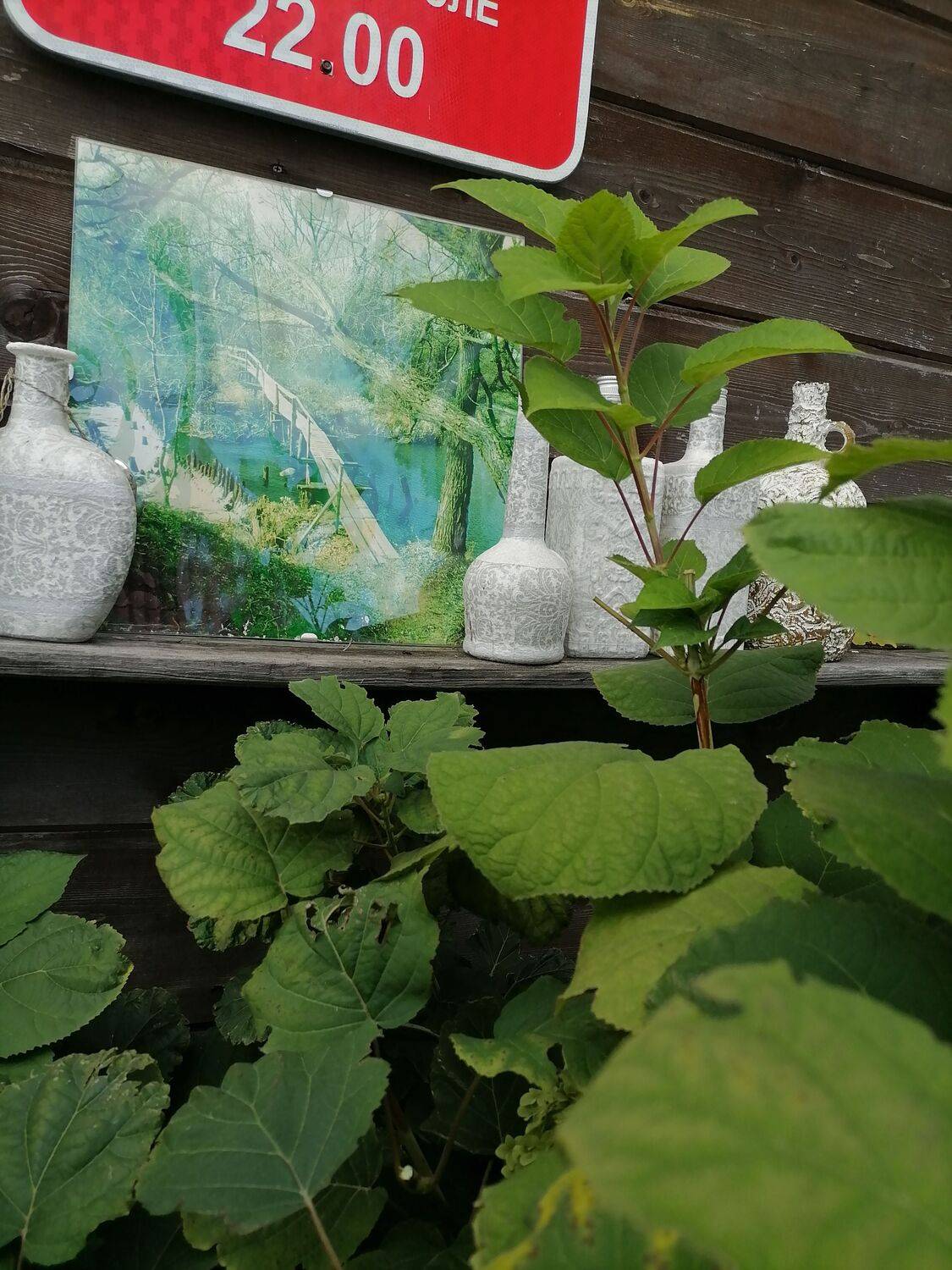 Фотография #10404634