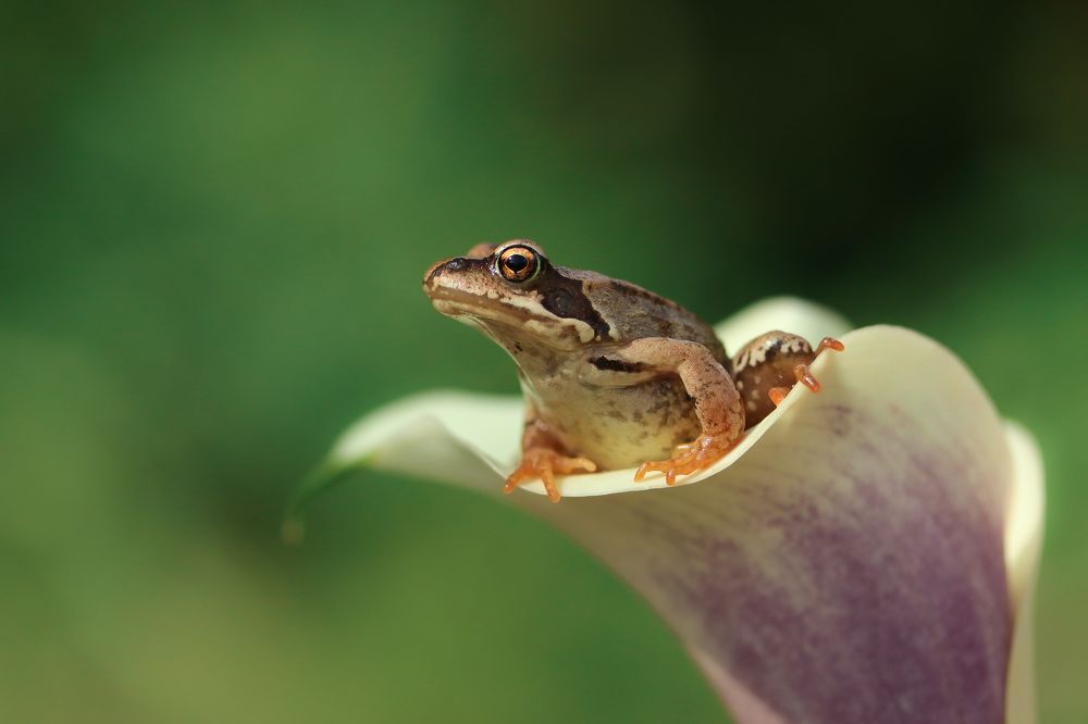 Photograph by Наталья Гайдукевич