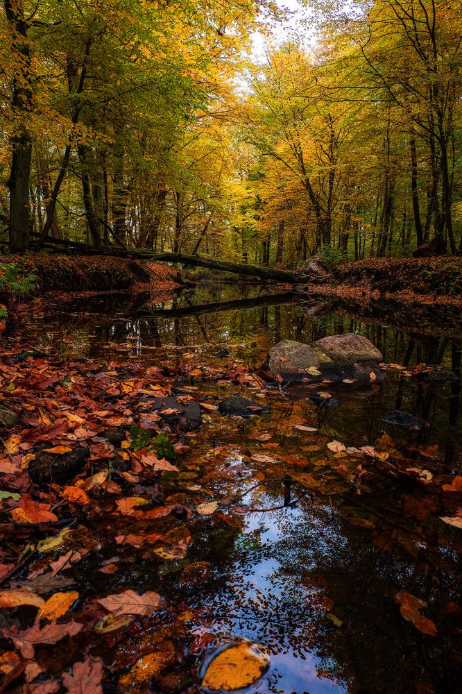 Photograph by Смоляк Максим Дмитриевич