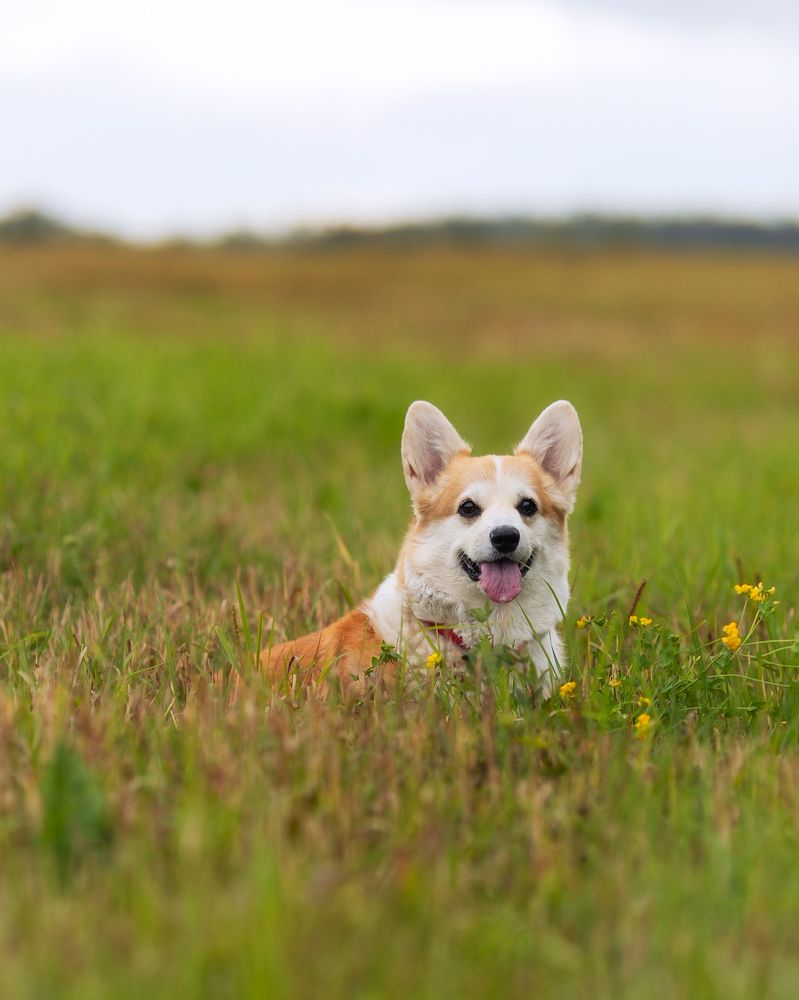 Photograph by Анна Федорова